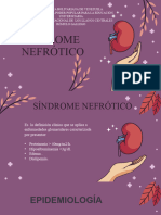 5 Sindrome Nefrotico