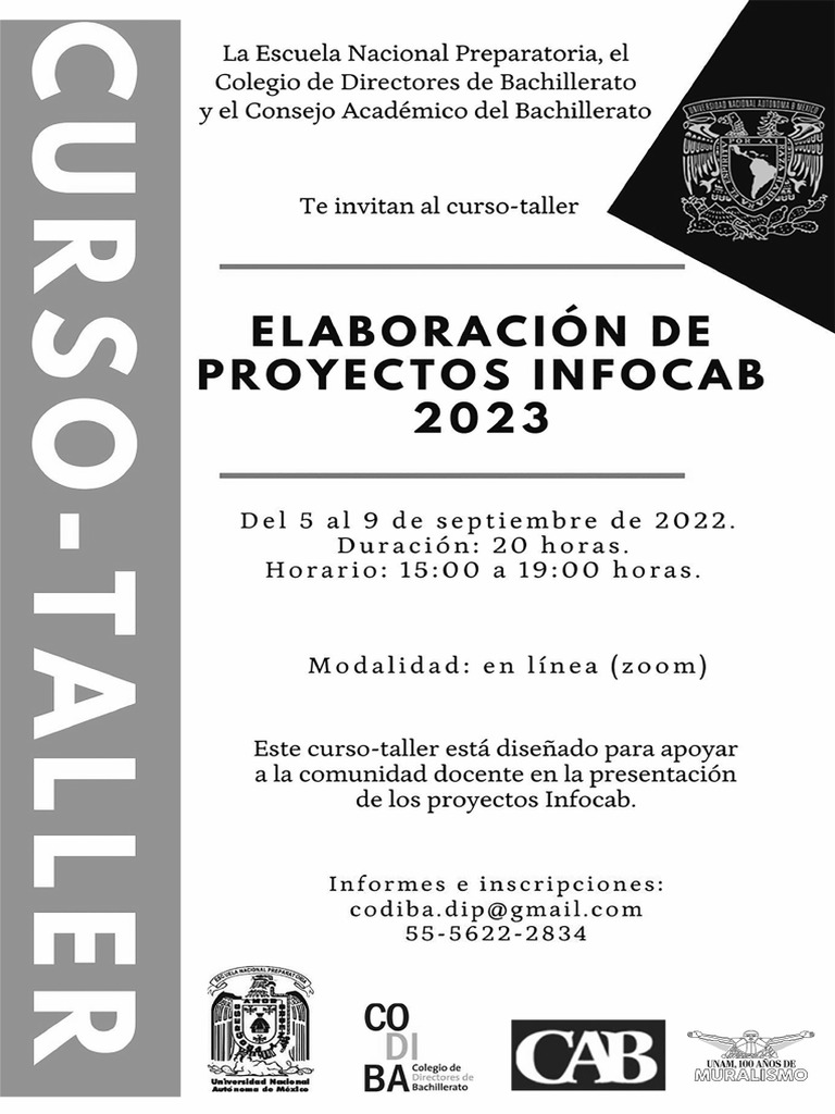 Curso Taller Elaboracion de Proyectos Infocab Plana | PDF