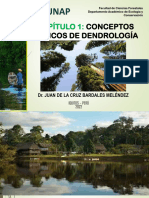 1 Conceptos Básicos de Dendrología