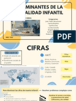 Determinantes de La Mortalidad Infantil