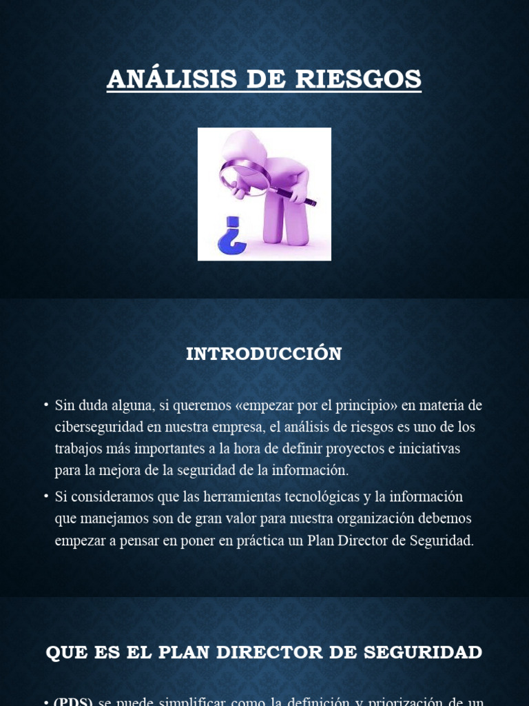 Análisis de Riesgos Editado | PDF | La seguridad informática | Seguridad