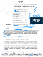 Ejemplo Informe Clase 1 PDF