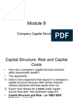 Company Capital Structure