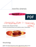 Clonorchis Sinensis 2