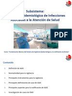 Subsistema - Vigilancia de IAAS