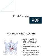 Anatomy of The Heart