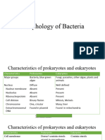 Morphology of Bacteria