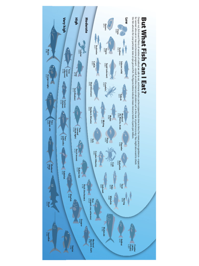 Mercury Levels in Seafood Guide | PDF | Tuna | Fish