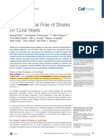 The Ecological Role of Sharks On Coral Reefs