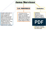 Joaquin Arias VI-DSistema Nervioso Mapa Conceptual