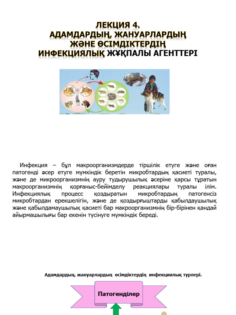 Жалаңаш кеуде, 3 өлшем