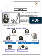 S3 Celula-TEORIA-CyT CEPREA 2024