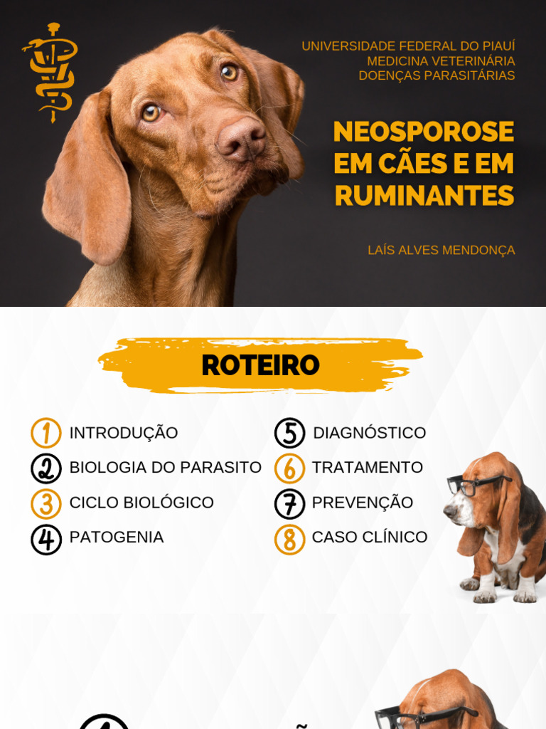 Ciclo Biológico do Neospora caninum | PDF | Biologia | Especialidades ...