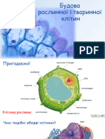 2.БУДОВА ТВАРИННОЇ, РОСЛИННОЇ#