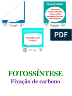 Aula 9 Assimilacao de Carbono 2022