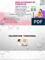 5.3  Valoración funcional