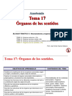 Tema_17_Organos_sentidos