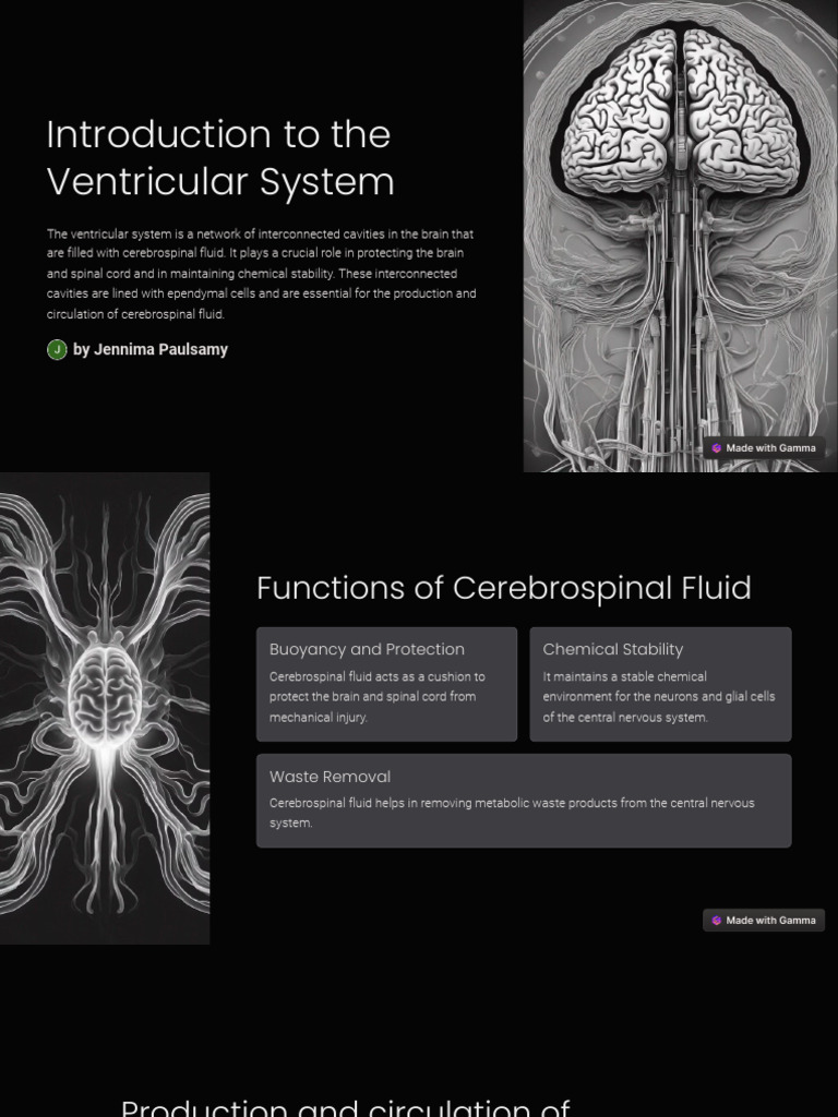 Understanding the Ventricular System | PDF | Cerebrospinal Fluid ...