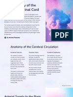 Blood Supply of The Brain and Spinal Cord