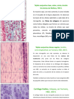 Atlas de Histologia