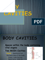 2body Planes Directions and Cavities2
