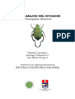 e Scarab a Jos Del Ecuador