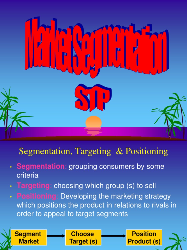 Market Segmentation and Positioning Guide | PDF | Market Segmentation ...
