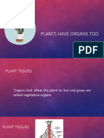 Plants Have Organs Too