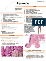 01. Sistema Tegumentar - Mariana Freitas