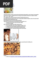 Download Metamorfosis hewan by Adrian Rahardi Haryanto SN72084161 doc pdf