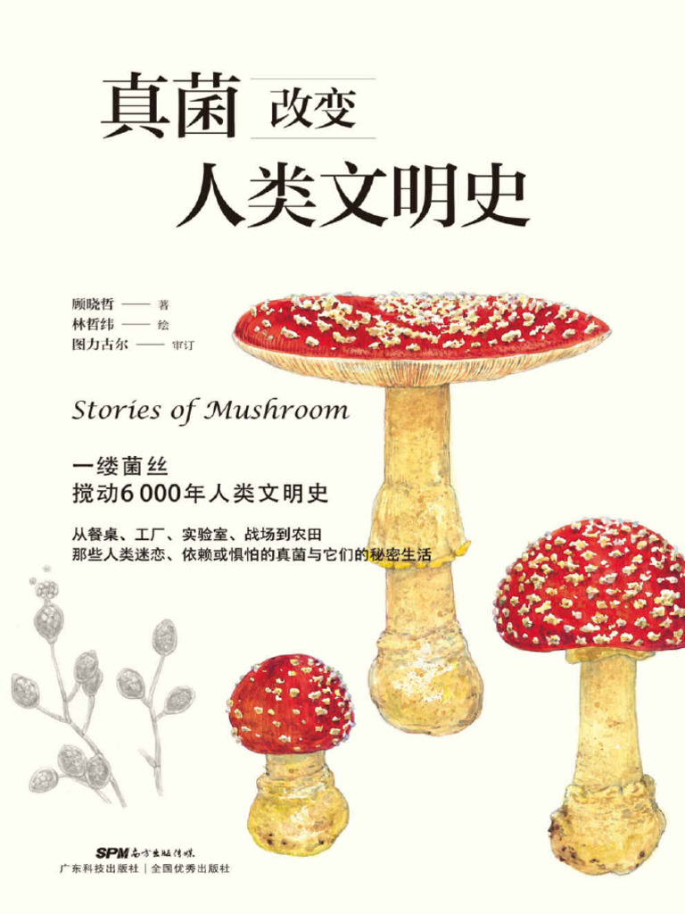 被忽视的隐形杀手：真菌感染的全球性挑战与华盛顿大学医学院的创新应对- 美国续航教育, image size:768x1024