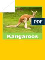 Kangaroos