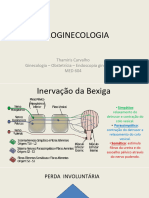 Tipos de Incontinencia Urinaria