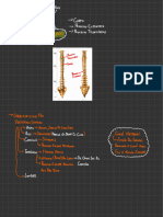 Anatomia 4