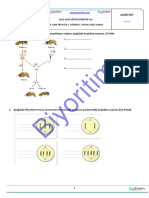 10 SINIF Yazılı 2