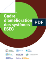 Cadre Damelioration Des Systemes ESEC