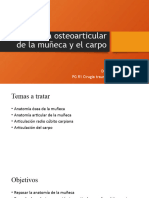 Anatomía osteoarticular de la muñeca y el carpo