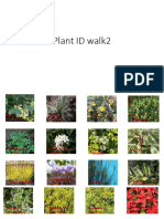 Plant ID walk2