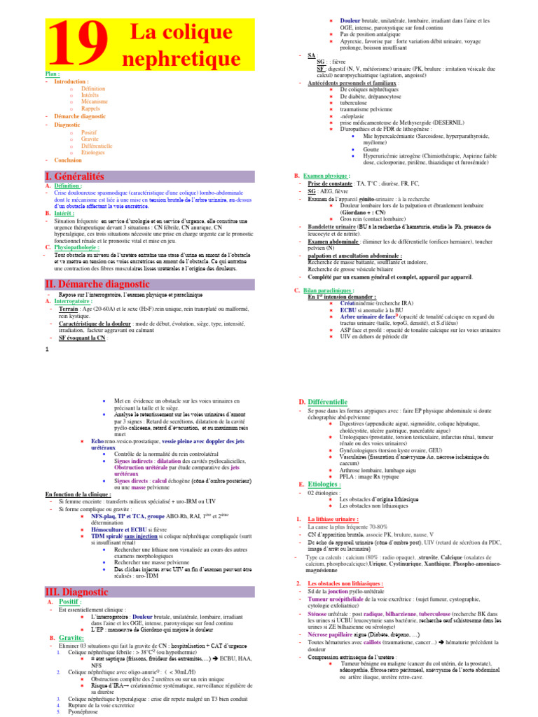 Colique néphrétique : diagnostic et traitement | PDF | Système génito ...