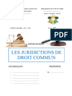 Expose - Juridiction de Droit Commun