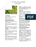 Cuenca Del Río Chancay PDF-110-125