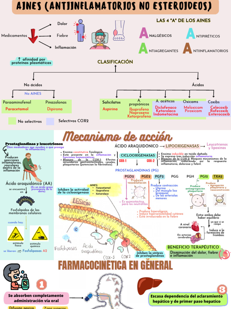 Mecanismo de Acción de los AINES | PDF | Droga anti-inflamatoria libre