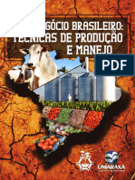 livro-agronegocio-brasileiro-completo