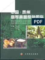 中国·贵州高等真菌原色图鉴 Colored Illustration of Higher Fungi from Guizhou in P. R. China (邹方伦 Zou Fanglun, 宋培浪 Song Peilang, 王波 Wang Bo) 贵州科技出版社 - 2009 - Chi... (Z-Library)