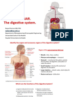 3.4. Seminar-The Digestive System