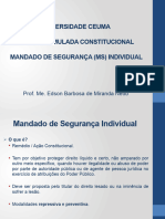 4. Mandado de SeguranÃ§a - MS