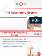 RespiratorySystemAnatomy60-Class-ENG