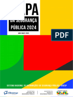 Mapa Da Seguranca Publica 2024