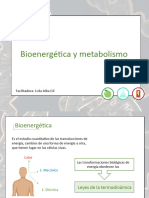 Tema II Bioenergetica y Metabolismo