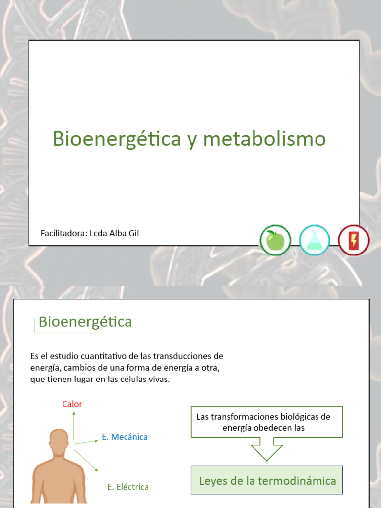 Tema II Bioenergetica y metabolismo | PDF | Metabolismo | Bioenergética